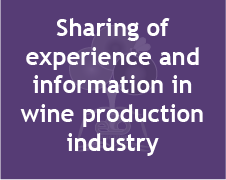 Sharing of  experience and  information in wine production industry (image)