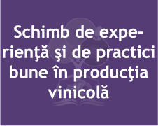 Schimb de experienţă şi de practici bune în producţia vinicolă (imagine)
