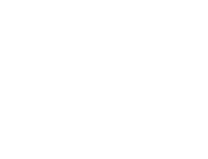 Danube delta (image)