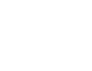 Zonele umede transfrontaliere (pictură)